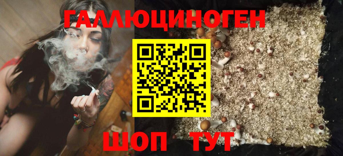 Каменка  Псилоцибиновые грибы прущие грибы  Псилоцибиновые грибы Psilocybine cubensis  Вход с VPN 